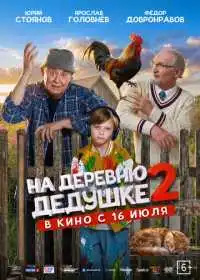 Постер фильма На деревню дедушке 2